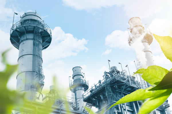 RENEWABLES & BIO PRODUCTS - Elan Fuels