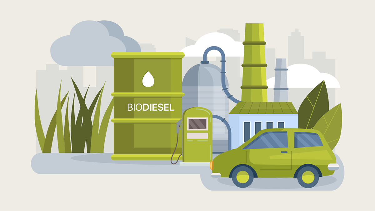 Renewable Diesel Vs Biodiesel: What Works Best For Your Fleet?