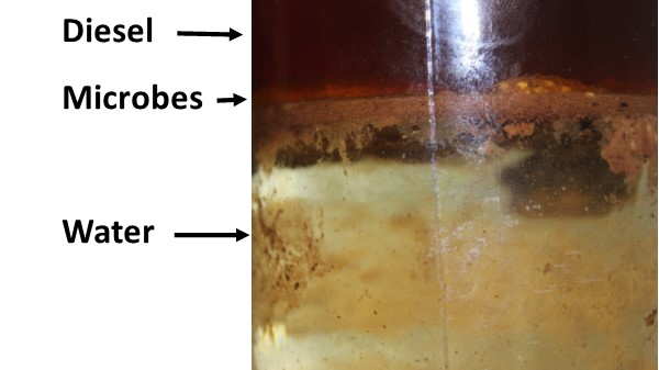 Chart showing impurities and microbes in diesel