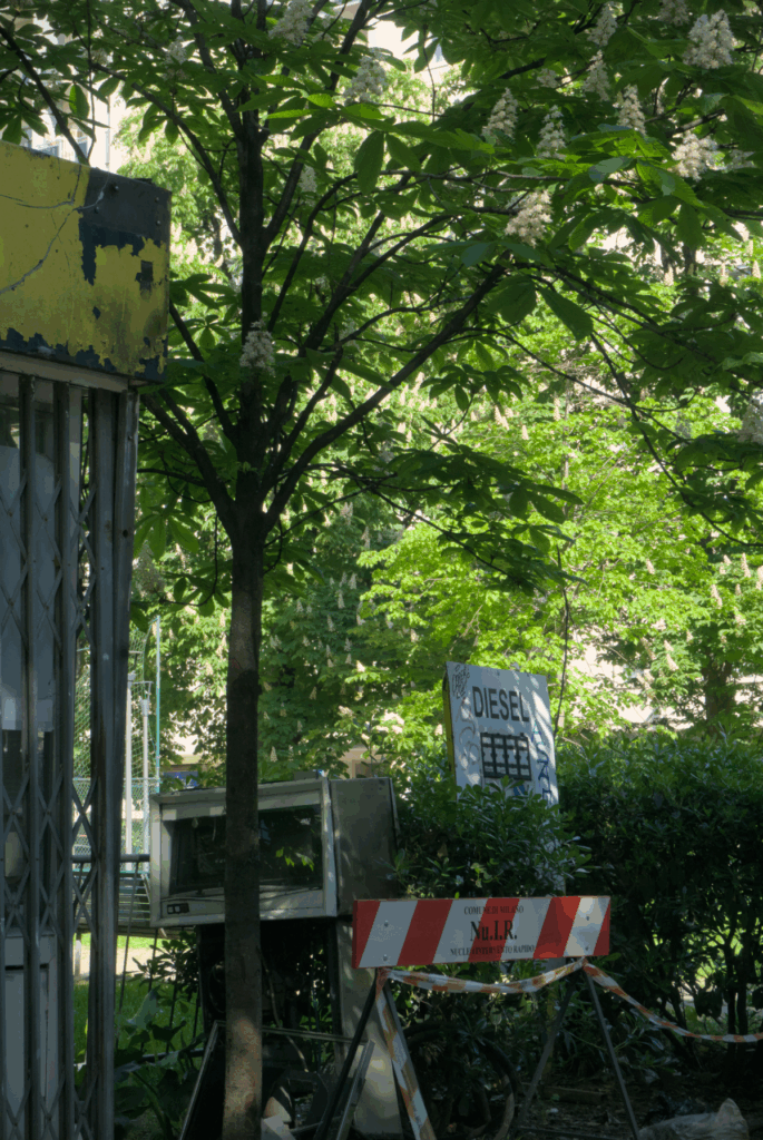diesel sign in a green thicket