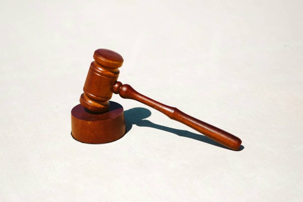 Small court-type gavel on a white background (1)