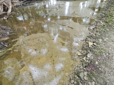 Water In Diesel Fuel: Common Symptoms And Damage Risks